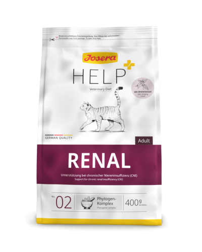renal.kot