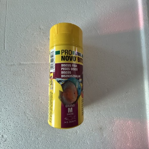 IMG 6299