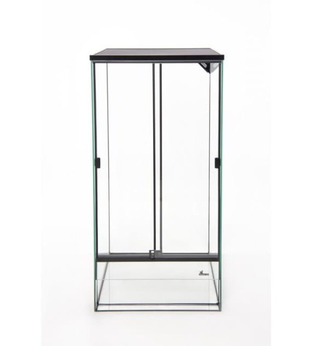 3832660287323540299 1 999 dystrybucja 934039511