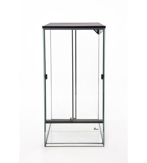 3832660287323540299 1 999 dystrybucja 934039511