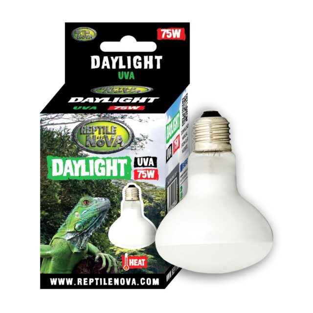 DAYLIGHT 75W BULB