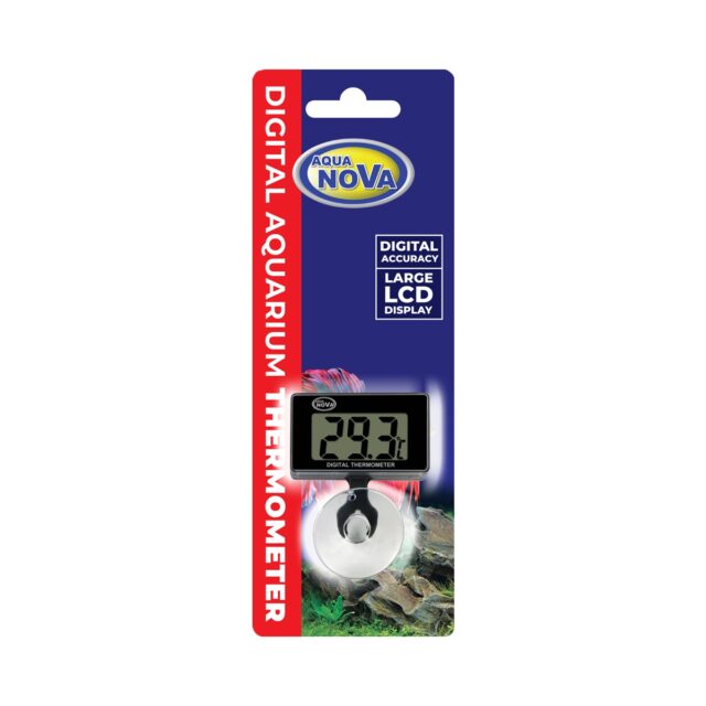 Digital Thermometer WEB1