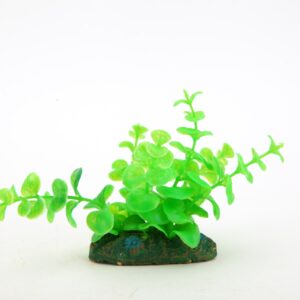 NP 10 08081 Easy Resize.com